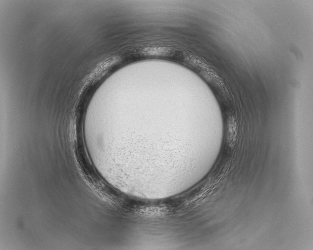 X0000115740734200912031427