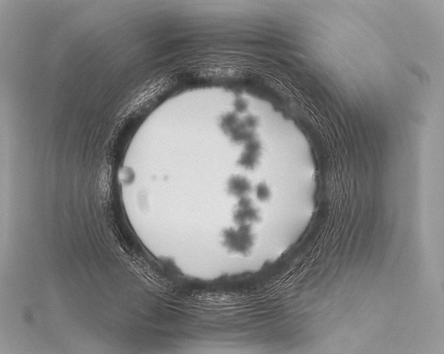 X0000115740735200912031427