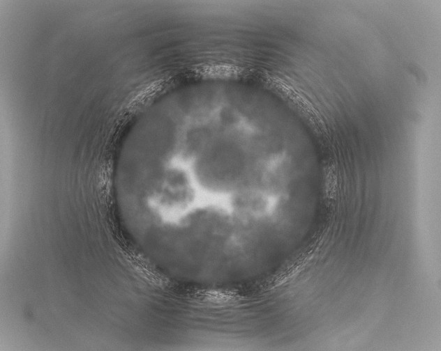 X0000115740737200912031427