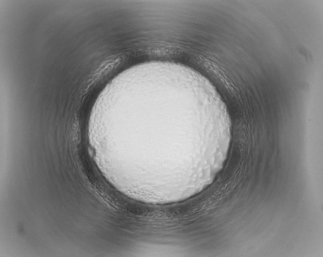 X0000115740738200912031427