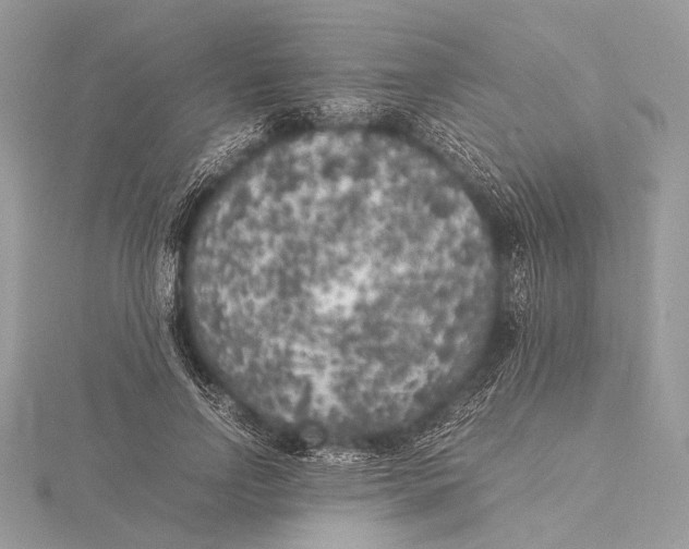 X0000115740742200912031427