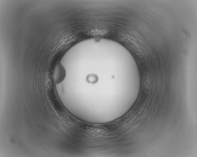 X0000115740743200912031427