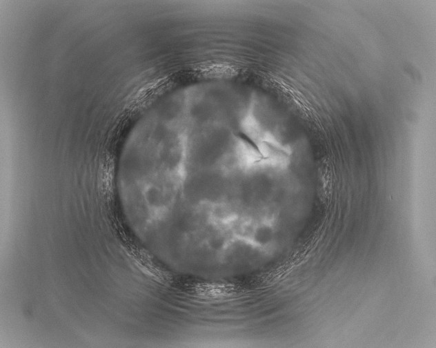 X0000115740745200912031427