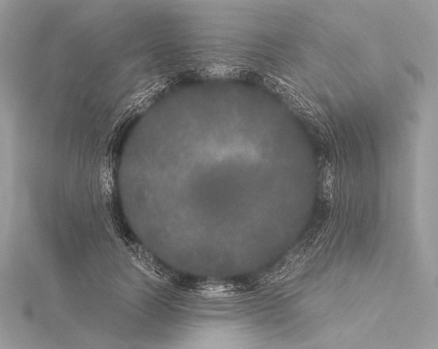 X0000115740746200912031427