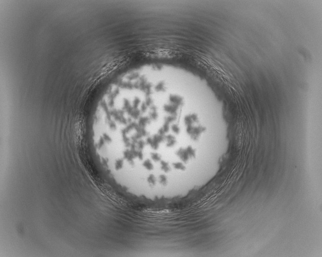 X0000115740747200912031427