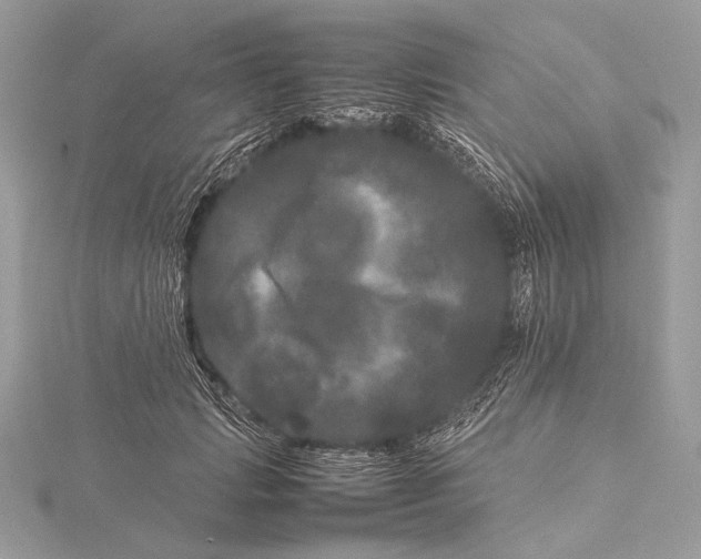 X0000115740749200912031427