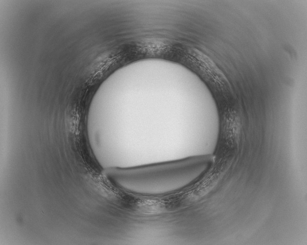 X0000115740750200912031427