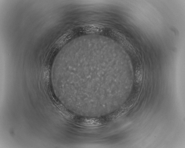 X0000115740753200912031427