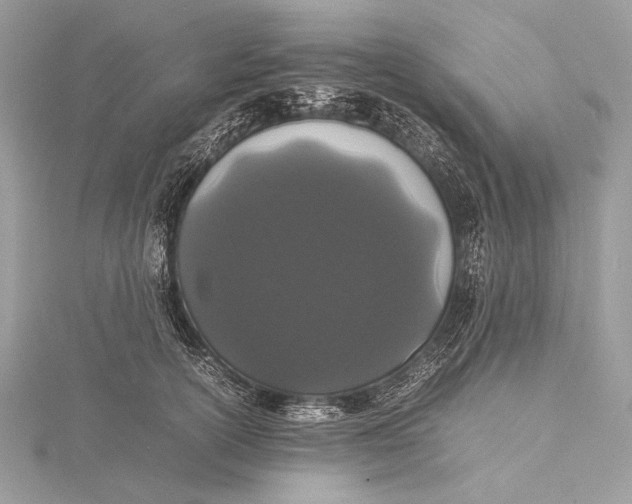 X0000115740754200912031427