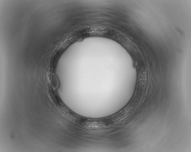 X0000115740755200912031427