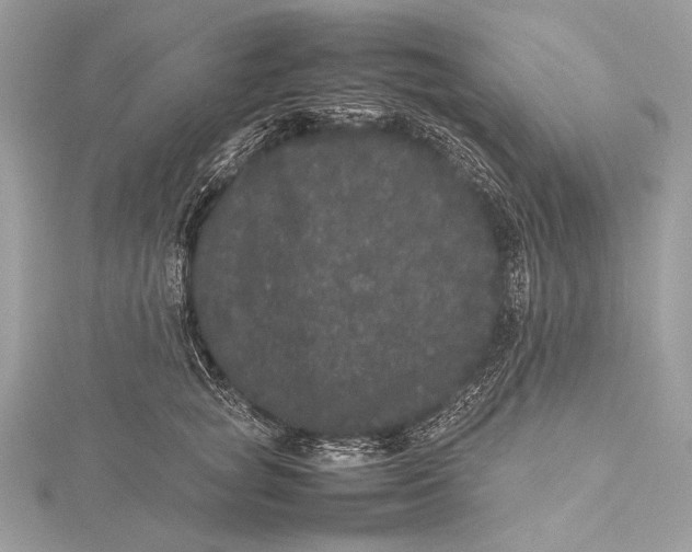 X0000115740757200912031427