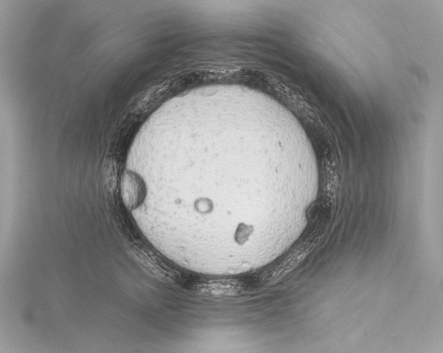 X0000115740758200912031427