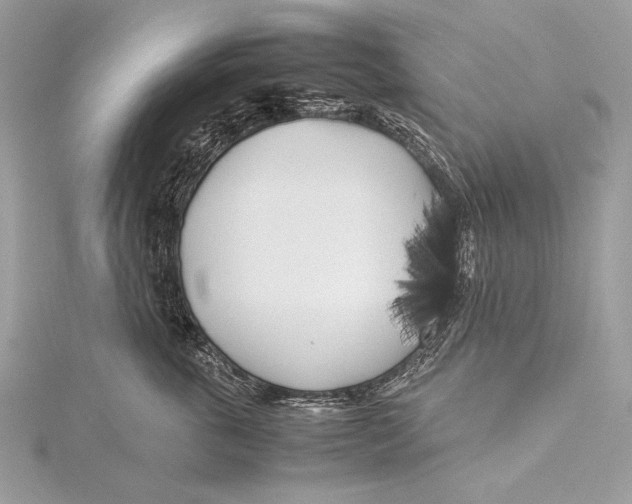 X0000115740763200912031427