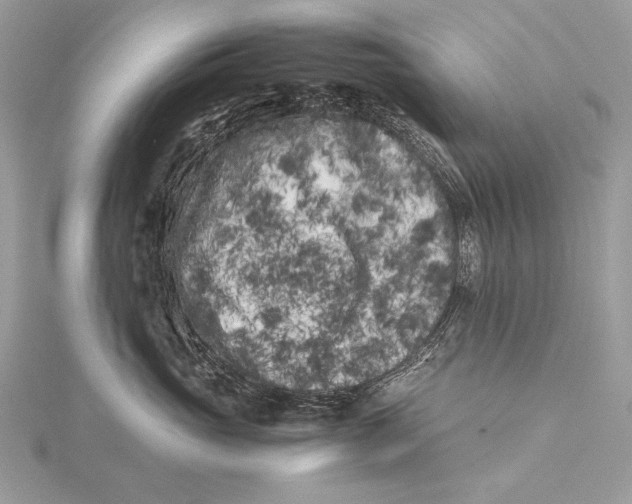 X0000115740765200912031427