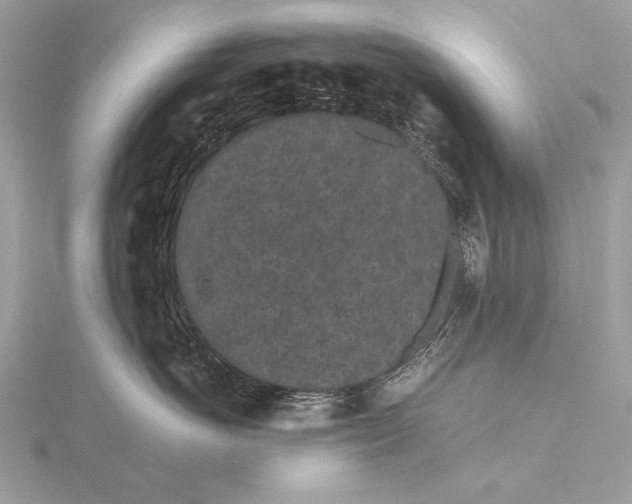 X0000115740766200912031427