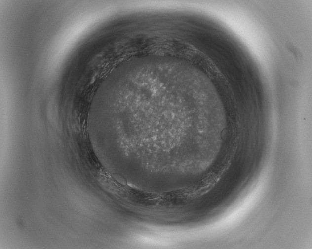 X0000115740767200912031427