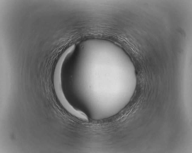 X0000115740769200912031426