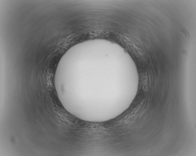 X0000115740770200912031426