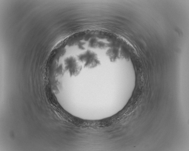 X0000115740775200912031426