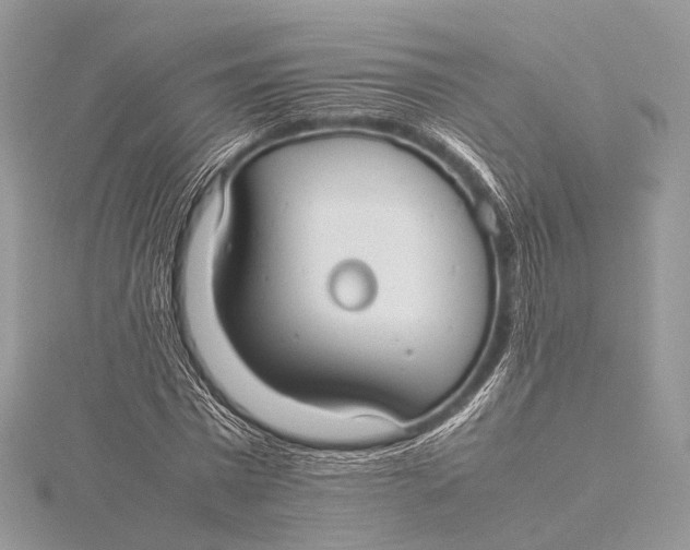 X0000115740777200912031426