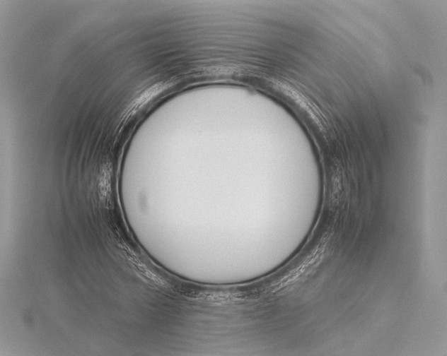 X0000115740778200912031426