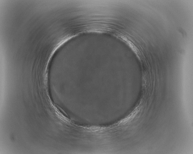 X0000115740779200912031426