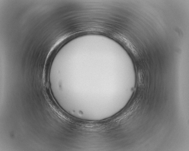 X0000115740780200912031426