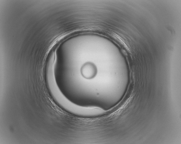 X0000115740781200912031426