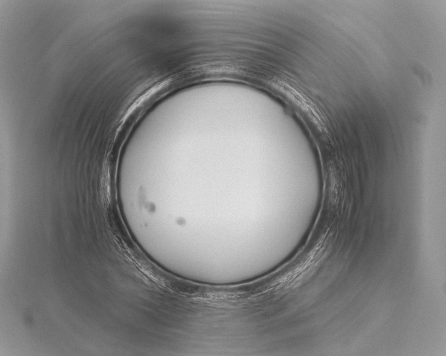 X0000115740782200912031426