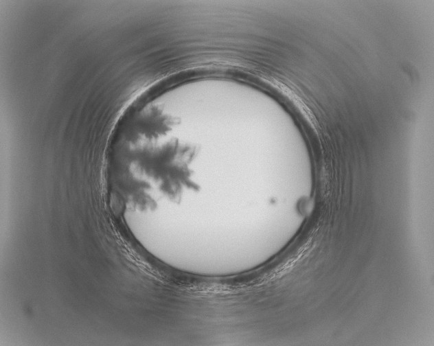 X0000115740783200912031426