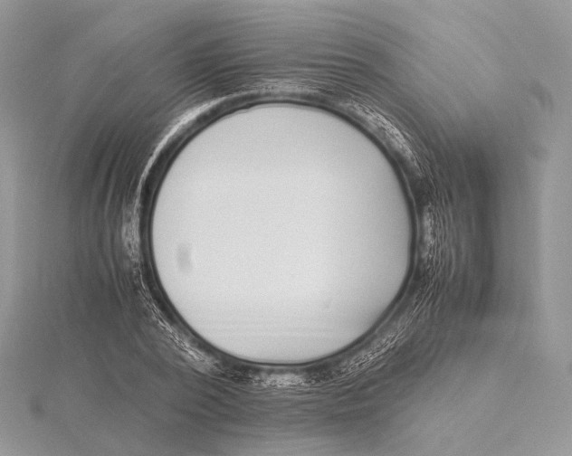 X0000115740784200912031426