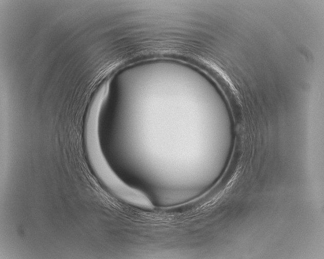 X0000115740785200912031426