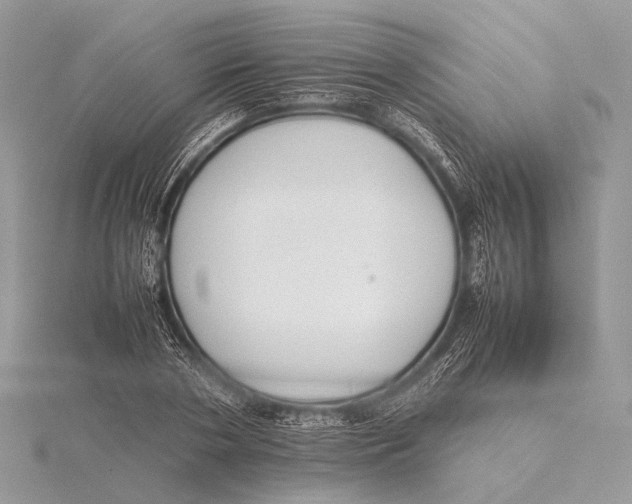 X0000115740786200912031426