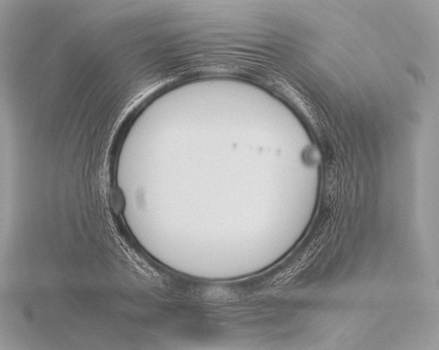 X0000115740787200912031426