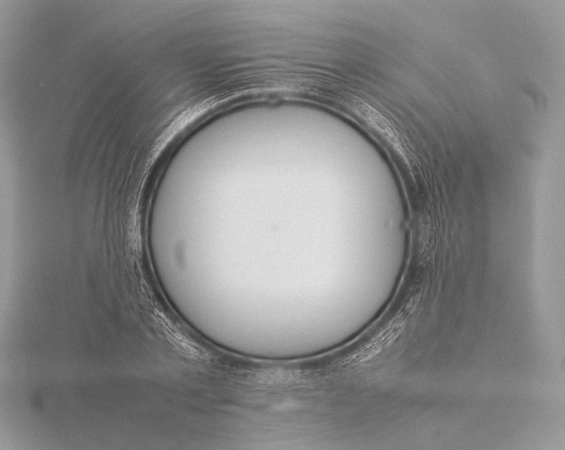 X0000115740789200912031426