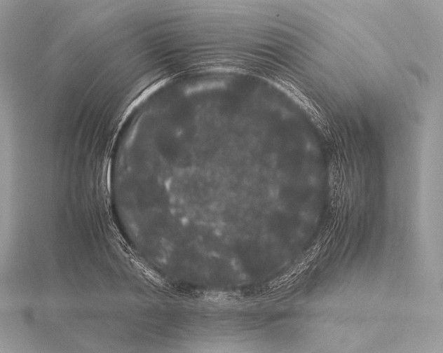 X0000115740790200912031426