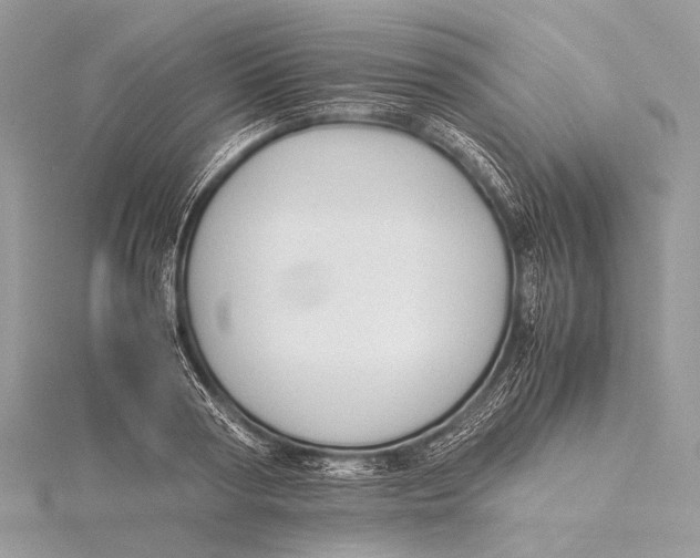 X0000115740794200912031426