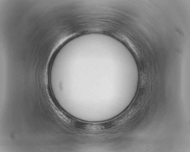 X0000115740795200912031426