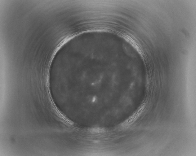 X0000115740797200912031426