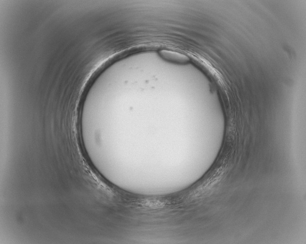 X0000115740799200912031426