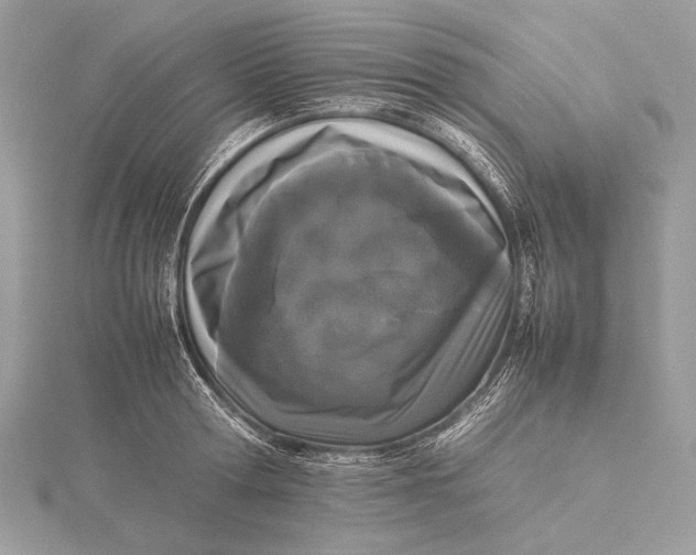 X0000115740802200912031426