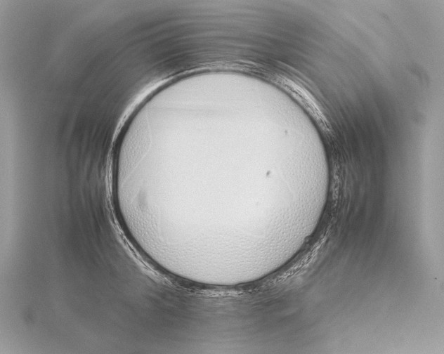 X0000115740804200912031426