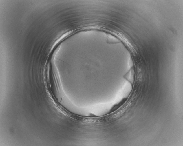 X0000115740806200912031426