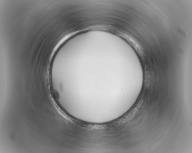 X0000115740808200912031426