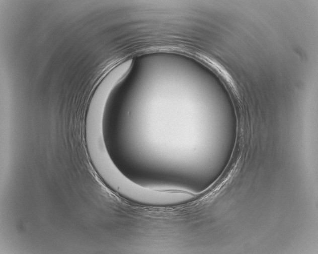 X0000115740809200912031426