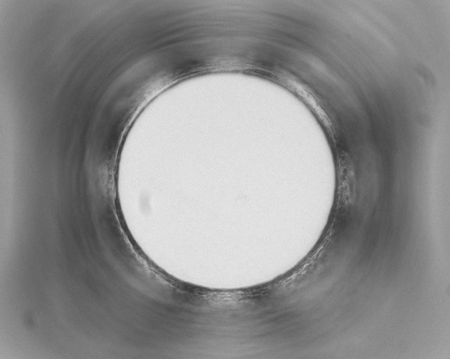 X0000115740810200912031426