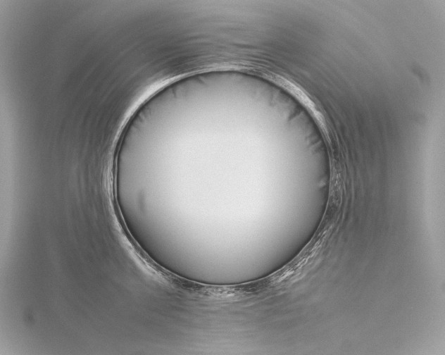 X0000115740811200912031426