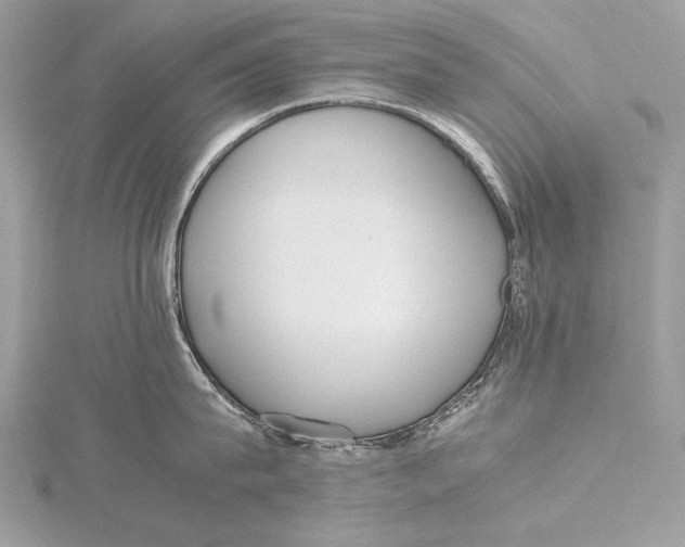 X0000115740815200912031426