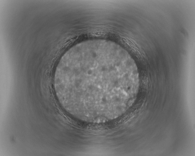 X0000115740817200912031425