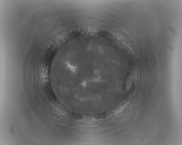 X0000115740818200912031425